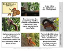 Leporello-Eichhörnchen-Geschichten-2.pdf